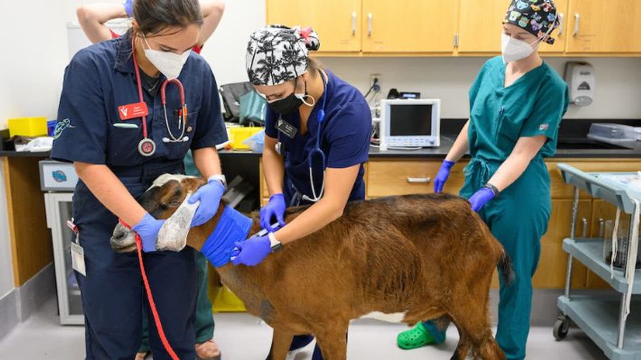 Shocking News Shocking News