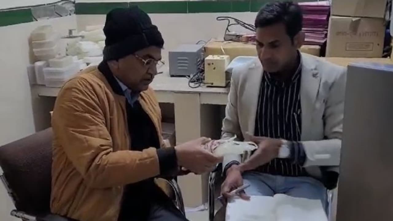 Jaipur blood bank Jaipur blood bank