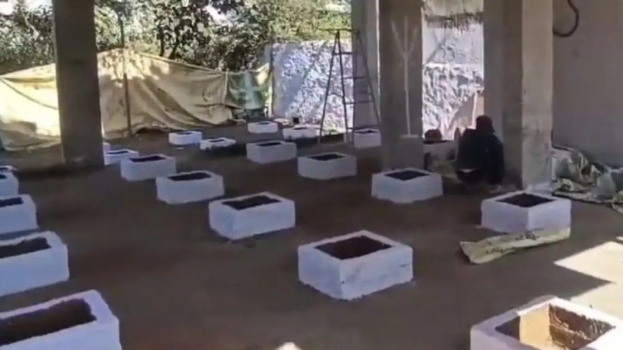 pakistan news pakistan news