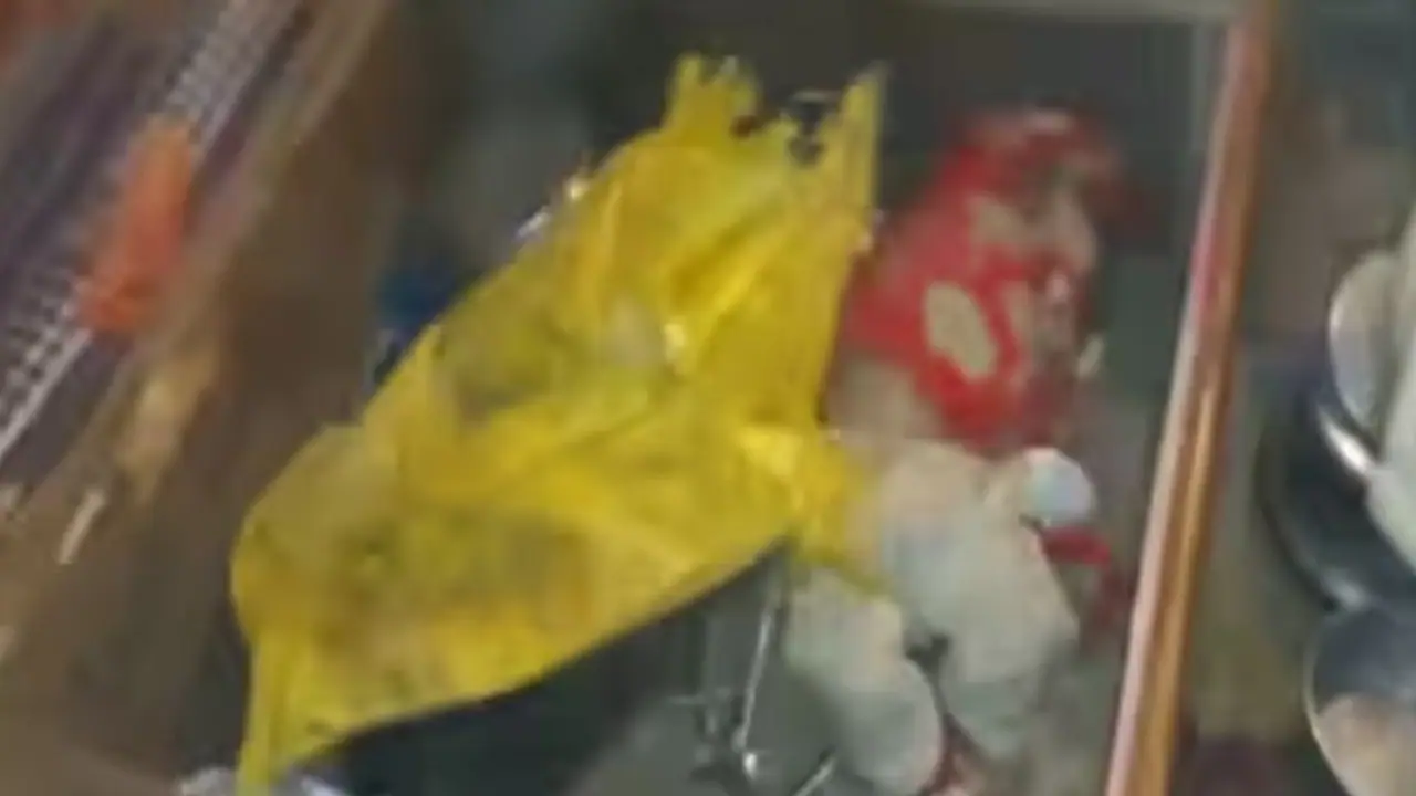 car accident in dausa car accident in dausa