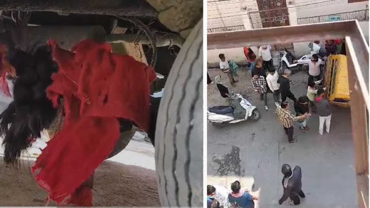 Jaipur tempo accident