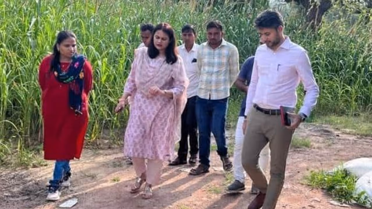 Collector Tina Dabi Collector Tina Dabi