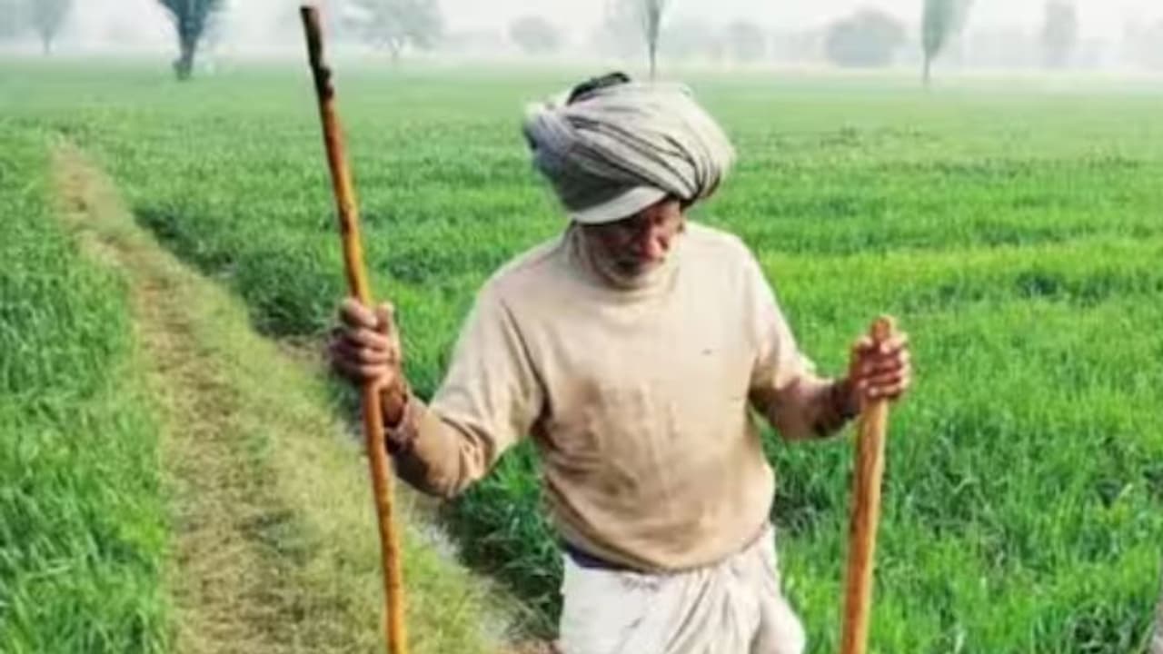 Jalore News Jalore News