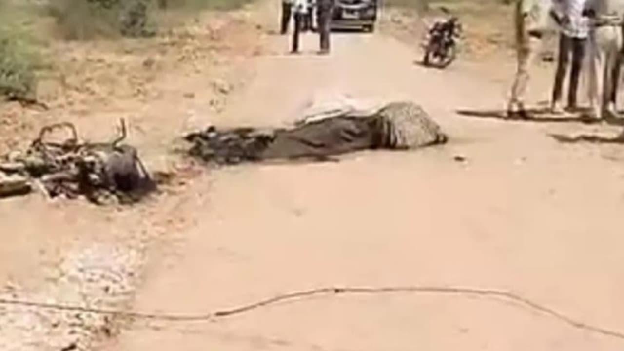 shocking nagaur news shocking nagaur news