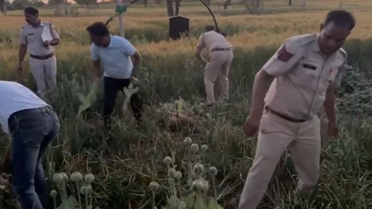 Sikar News Sikar News