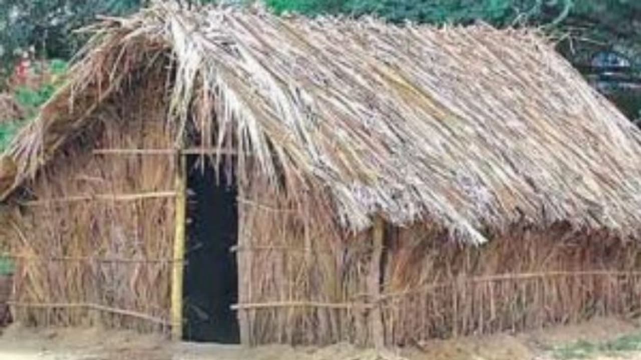 New experiment in farming by growing mushrooms in a hut New experiment in farming by growing mushrooms in a hut
