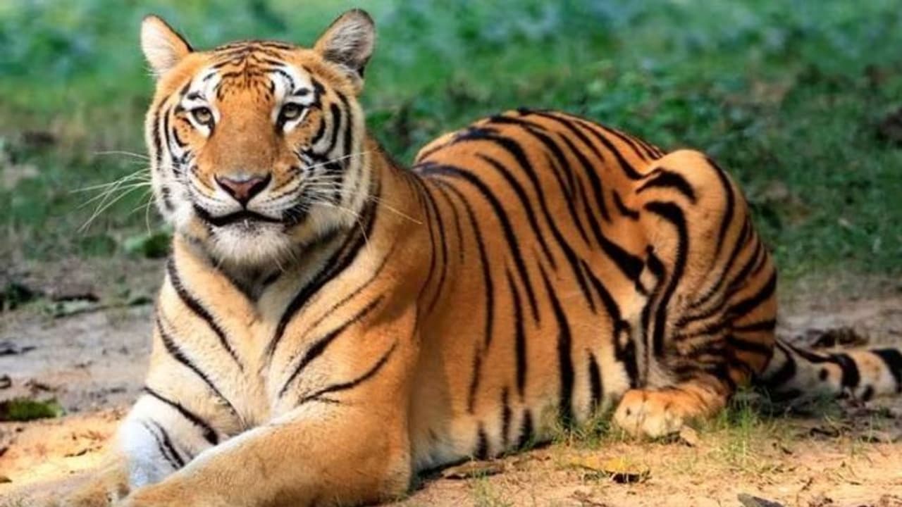 Balaghat News Balaghat News