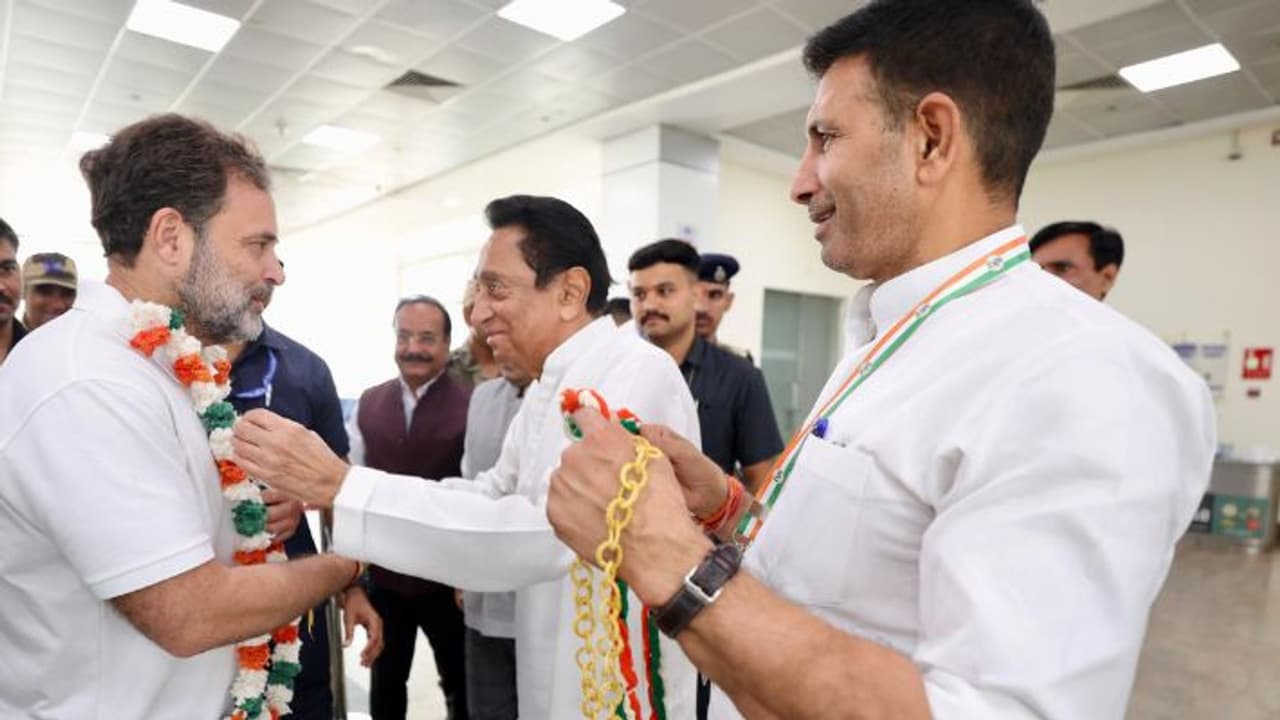   Rahul Gandh