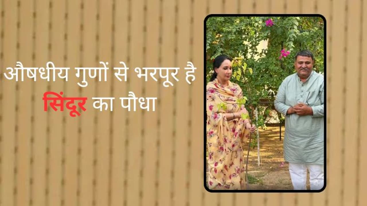 Deputy CM Diya Kumari planted Sindur 