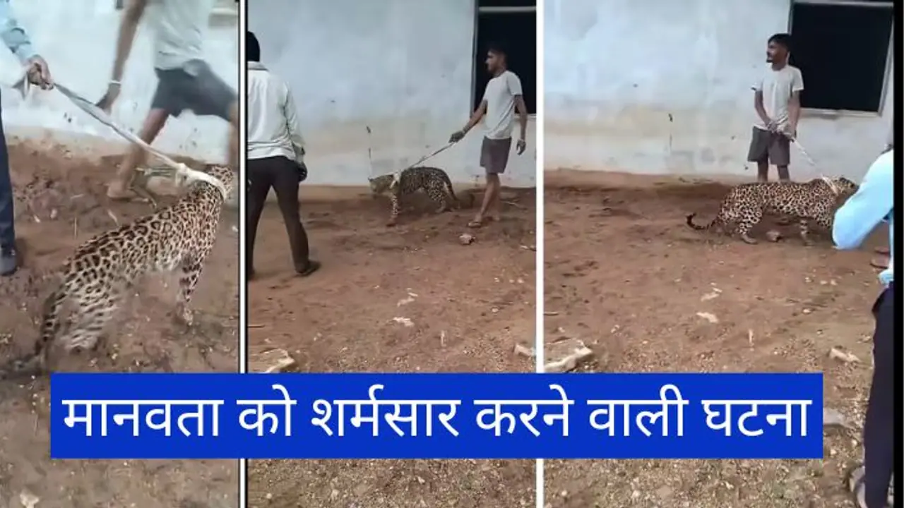 bundi news bundi news