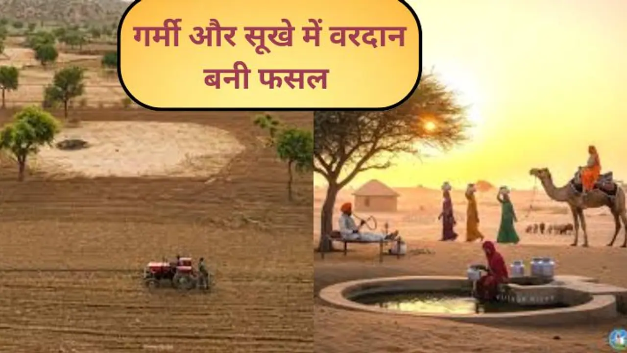 Jaisalmer News Jaisalmer News