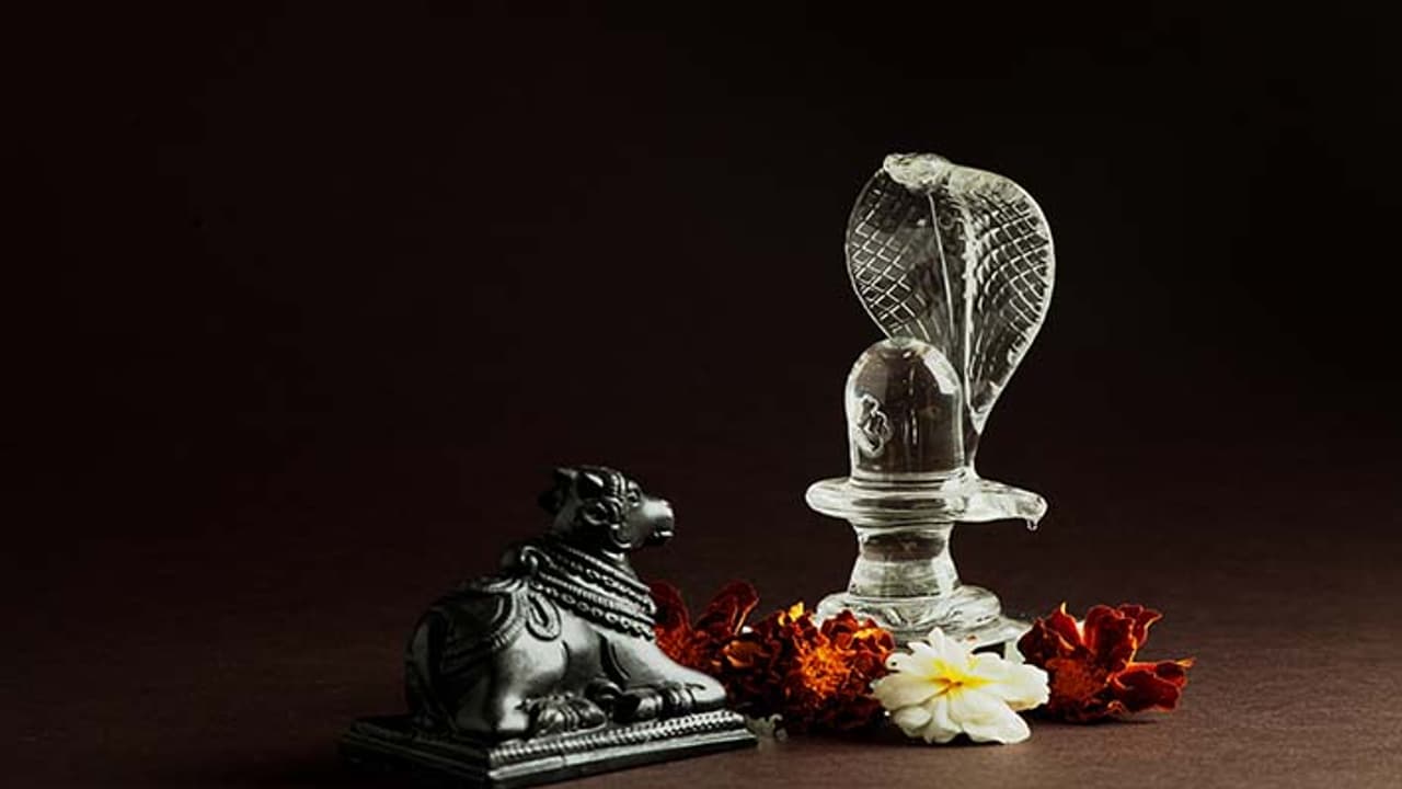 shivling 2023 shivling 2023