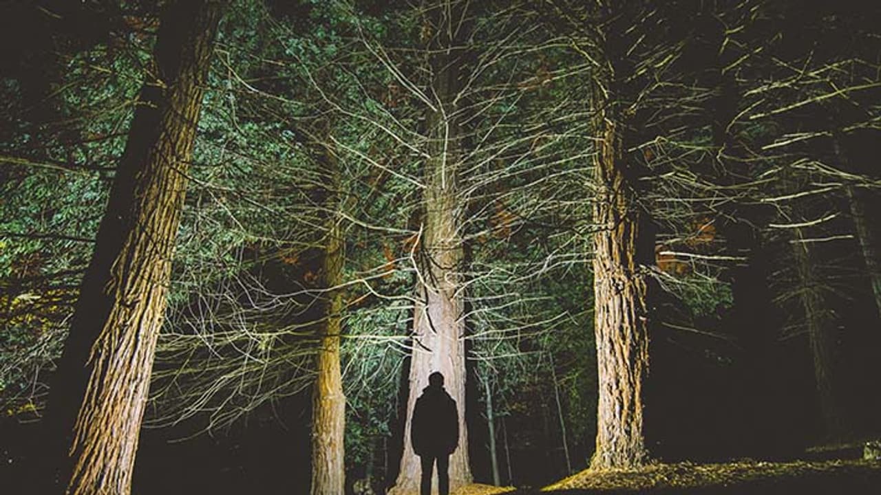 hindu tradition 2023 hindu tradition 2023