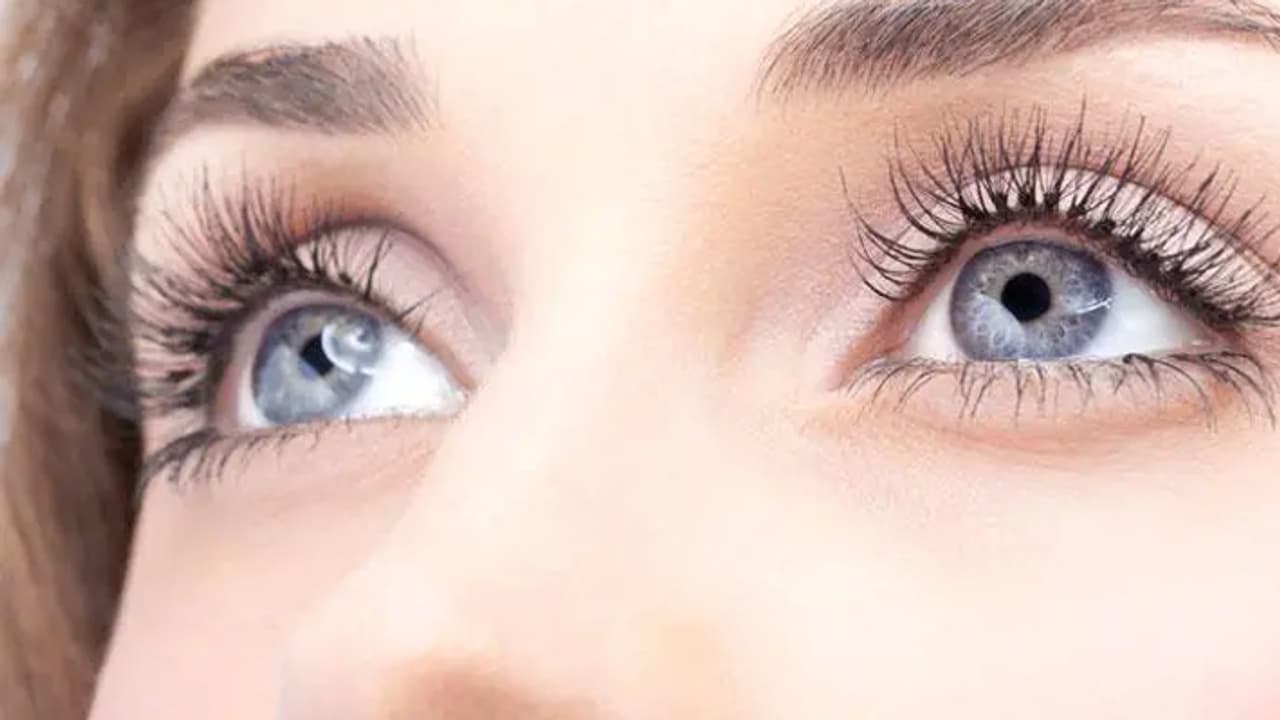 best food for eyesight best food for eyesight