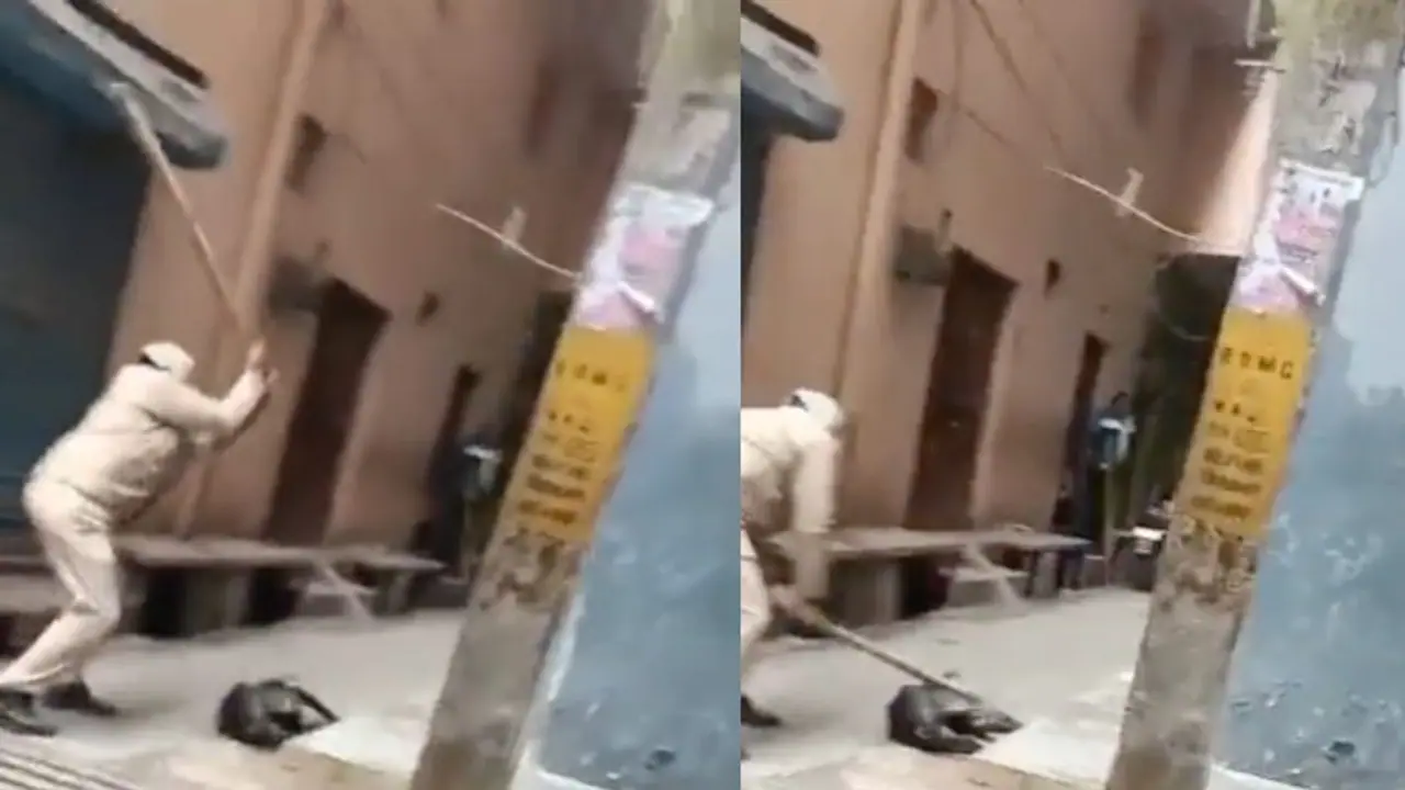 Police Man Beat Dog Police Man Beat Dog