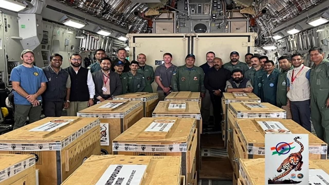 Cheetah in IAF plane Cheetah in IAF plane