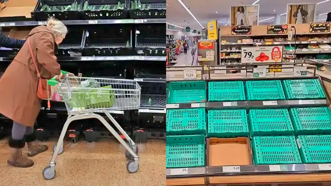 Vegetables Crisis in Britain