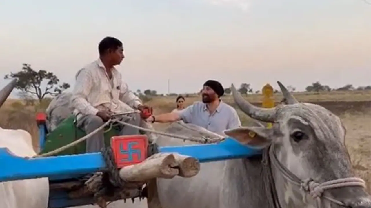 Sunny Deol Sunny Deol