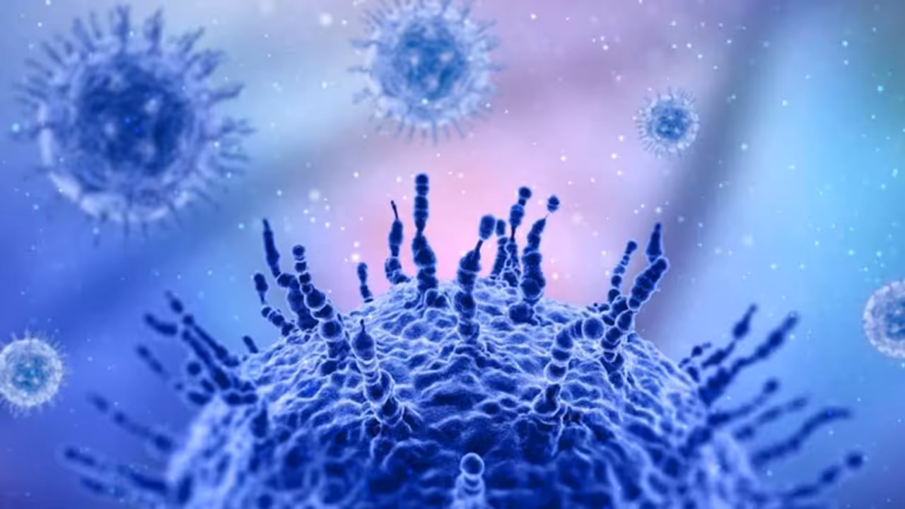 what is Influenza A virus subtype H3N2