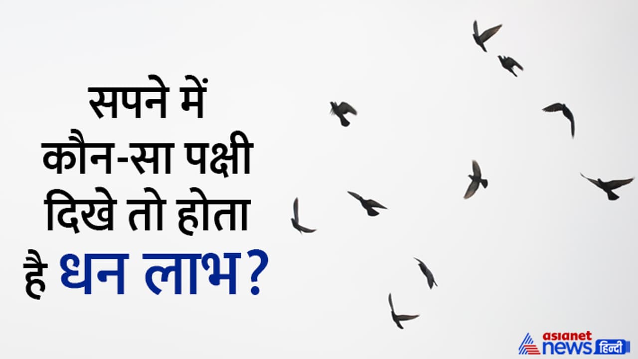 Dream Astrology about birds