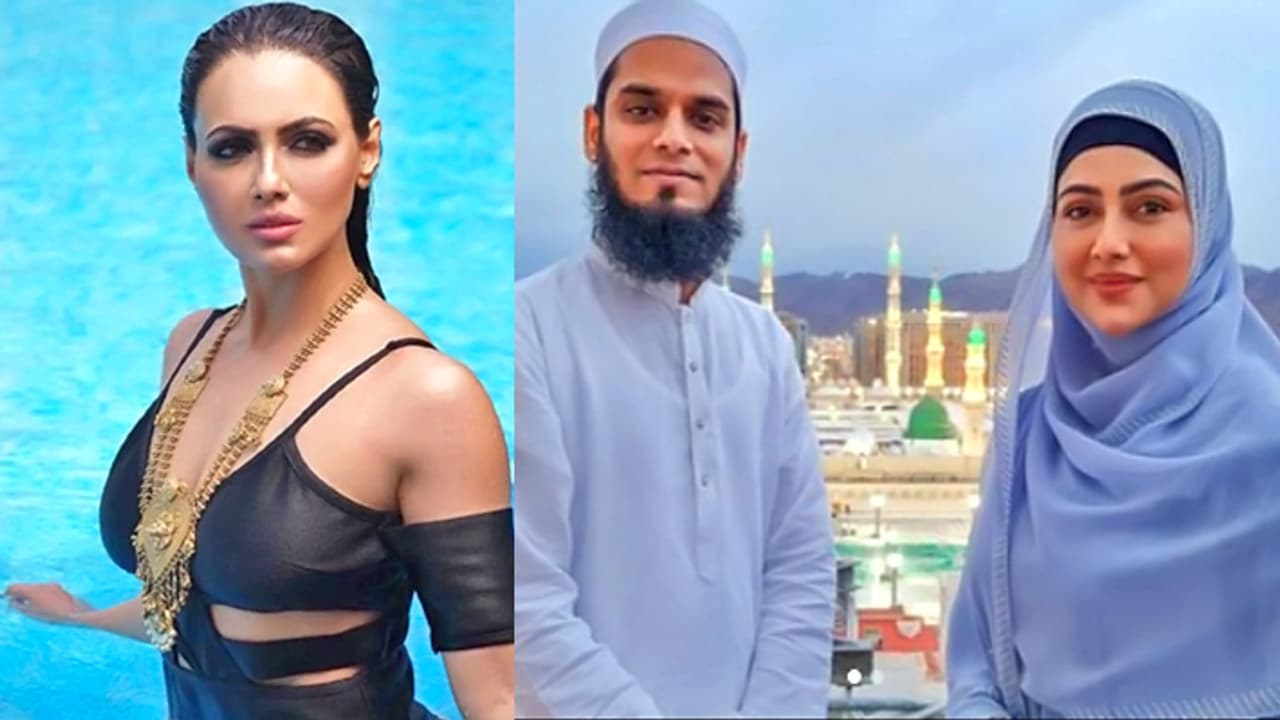 Sana Khan Pregnant Sana Khan Pregnant