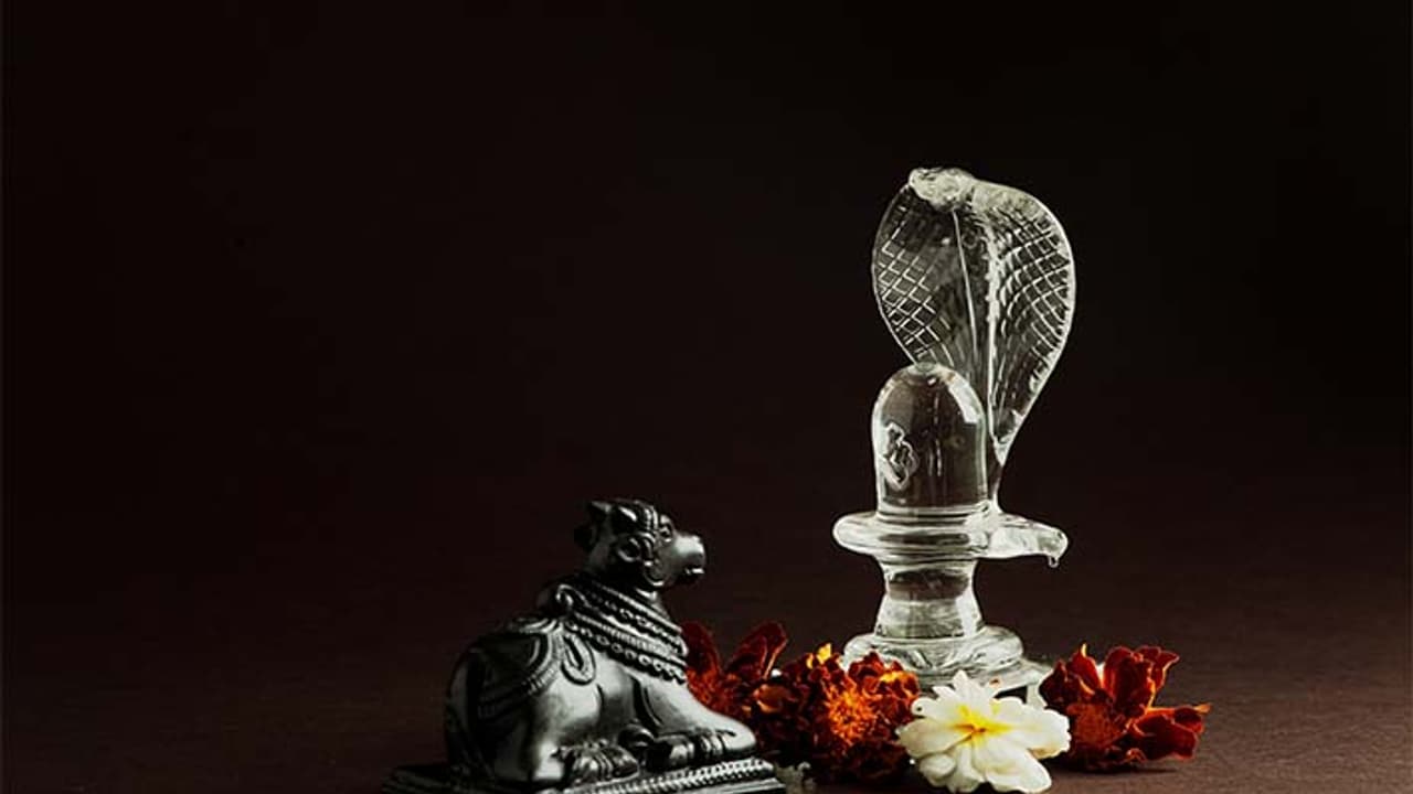 shiv chaturdashi 2023 shiv chaturdashi 2023