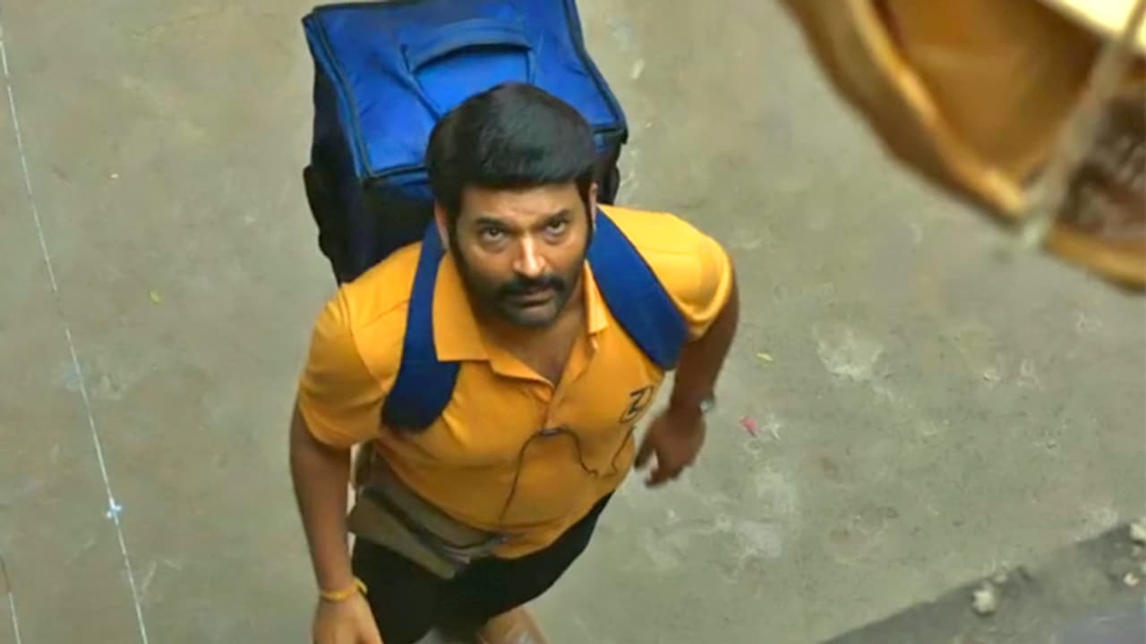 Zwigato Collection Zwigato Collection