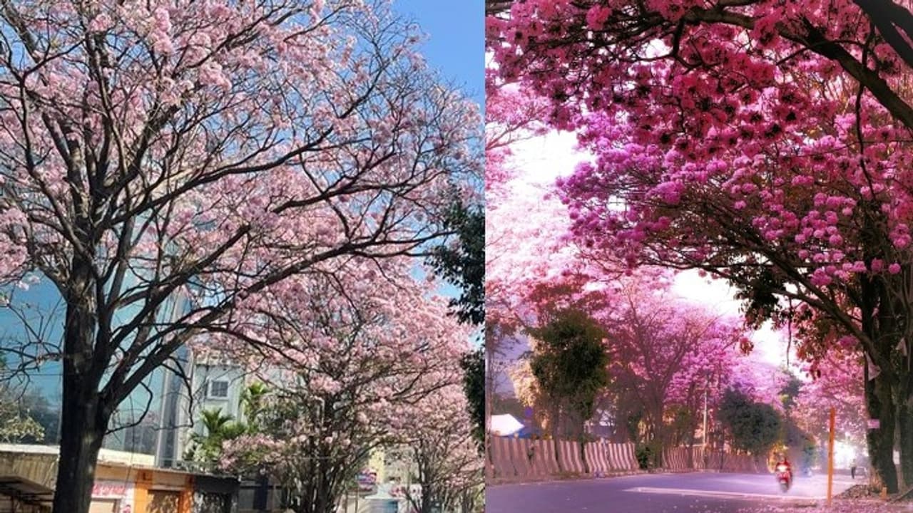 Bengaluru photo Bengaluru photo