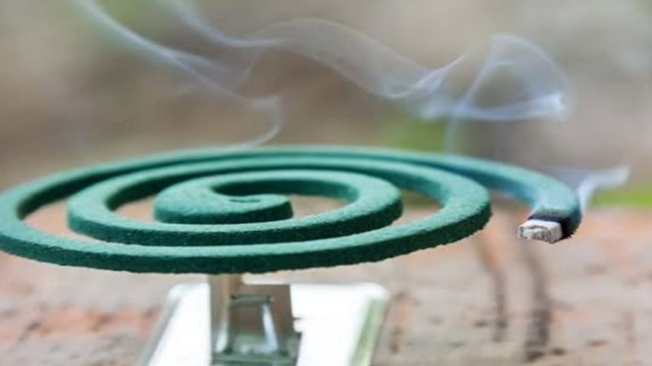 mosquito coil mosquito coil