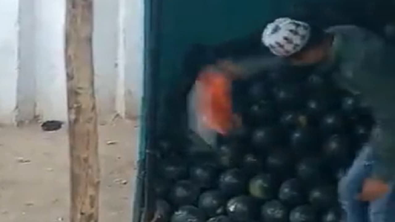 National Flag Insulted National Flag Insulted