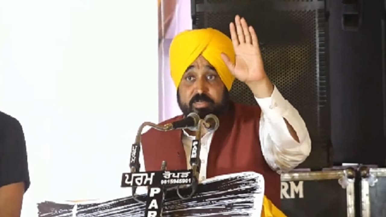punjab cm bhagwant man 
