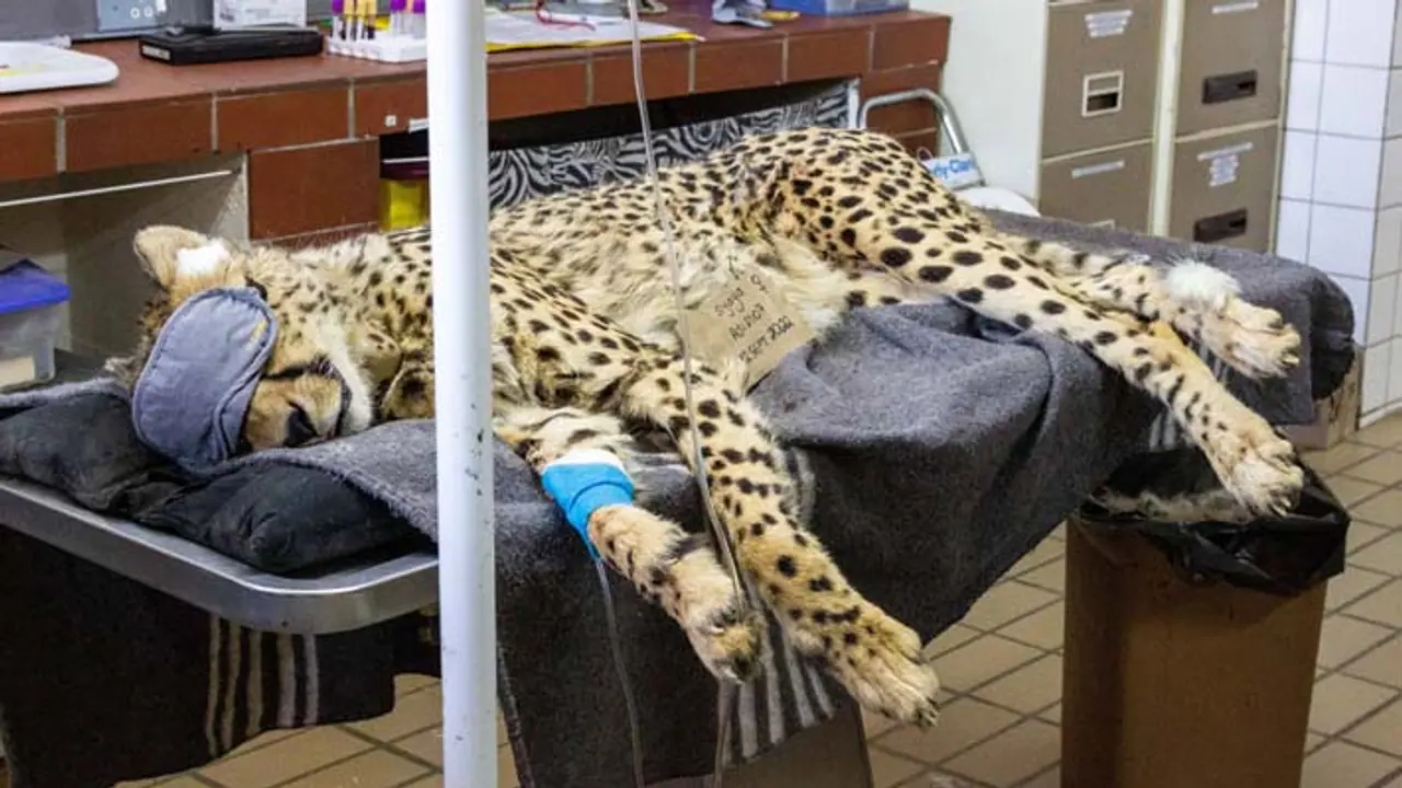 Kuno National Park Kuno National Park