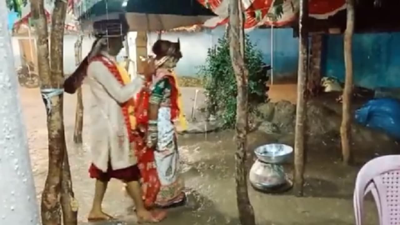 kawardha news trending viral video bride and groom marriage with umbrella midst of heavy rain 