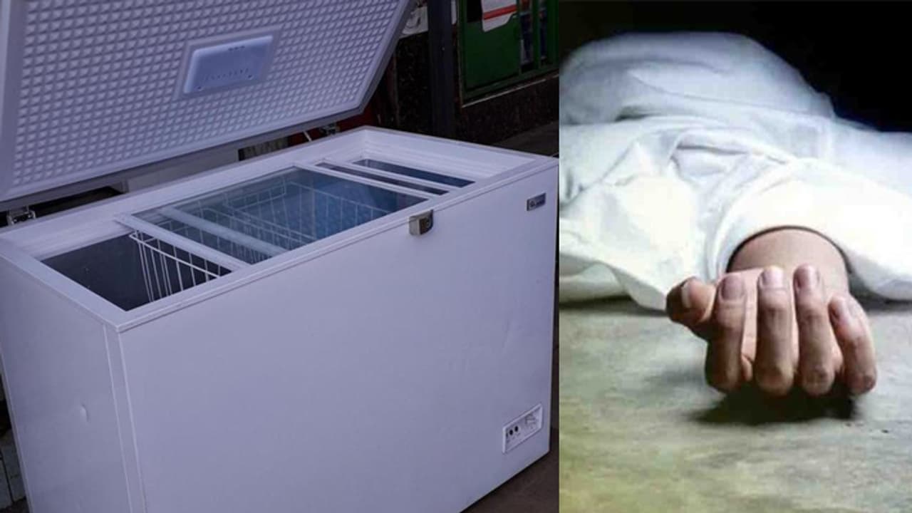 dead body in freezer for pension dead body in freezer for pension
