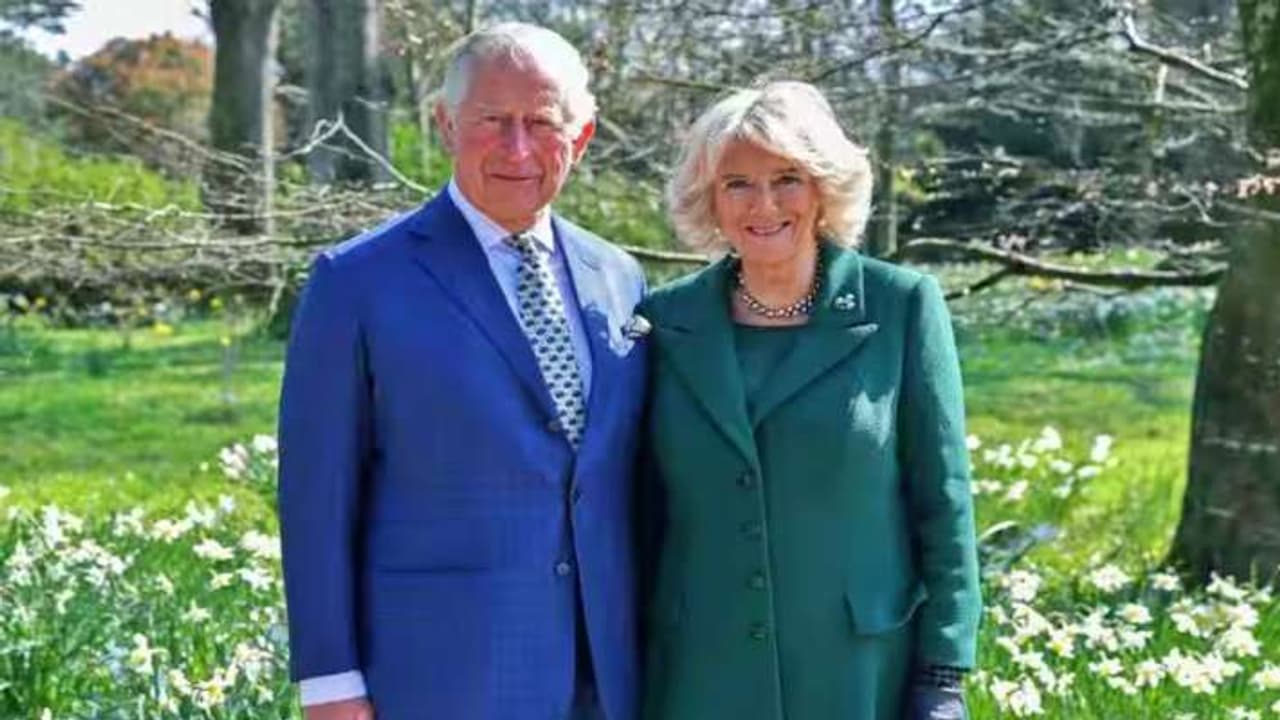 king charles king charles