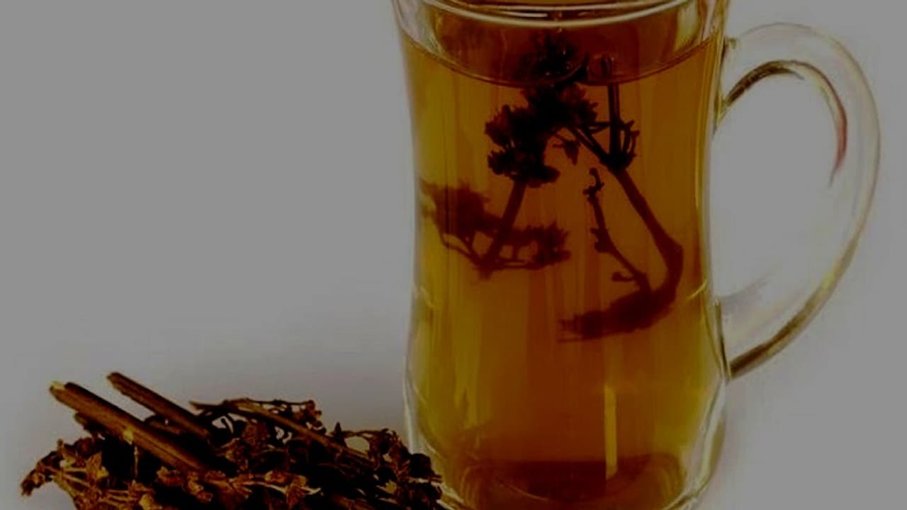 indigenous medicine chiraita indigenous medicine chiraita