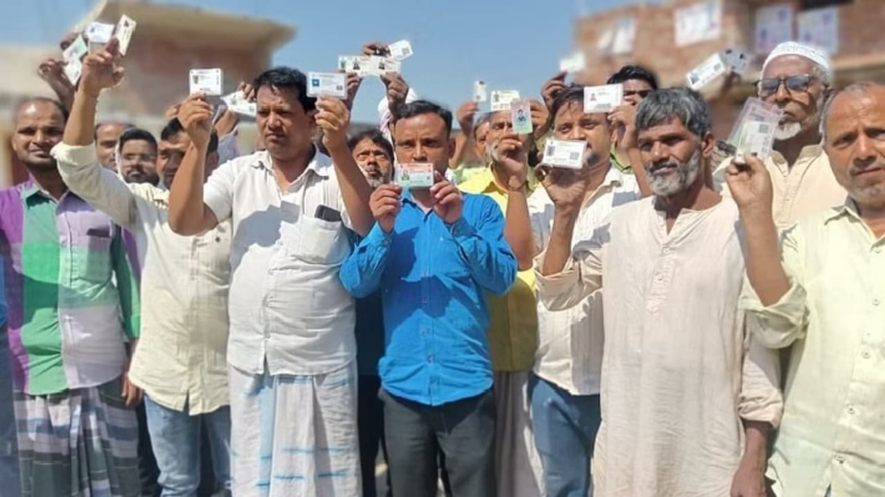 up nikay chunav 2023