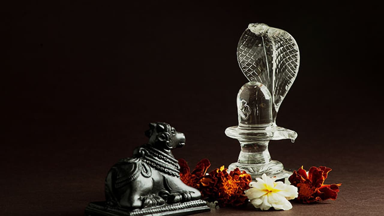 budh pradosh vrat may 2023