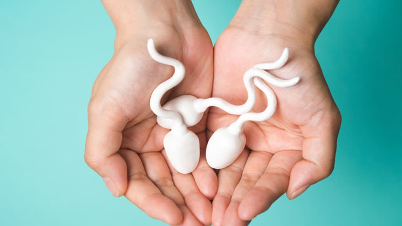 sperm problems sperm problems