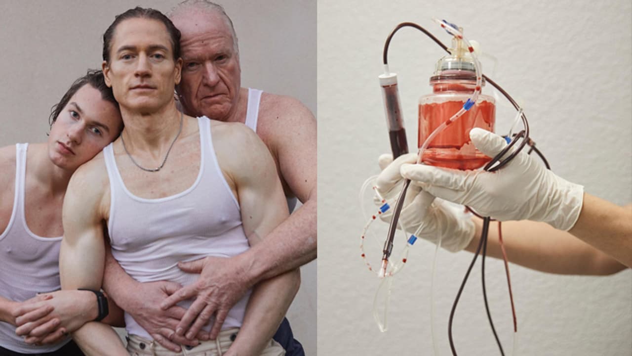 bryan johnson blueprint bryan johnson blueprint