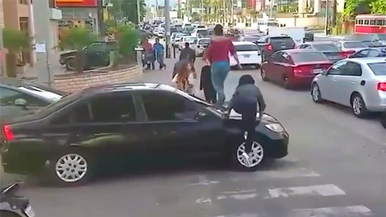 zebra crossing video zebra crossing video