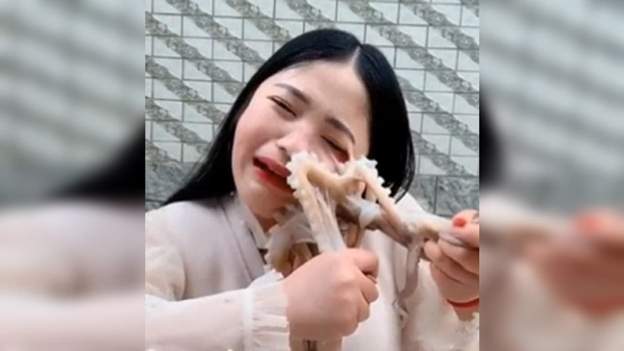 selfie with sea creatures