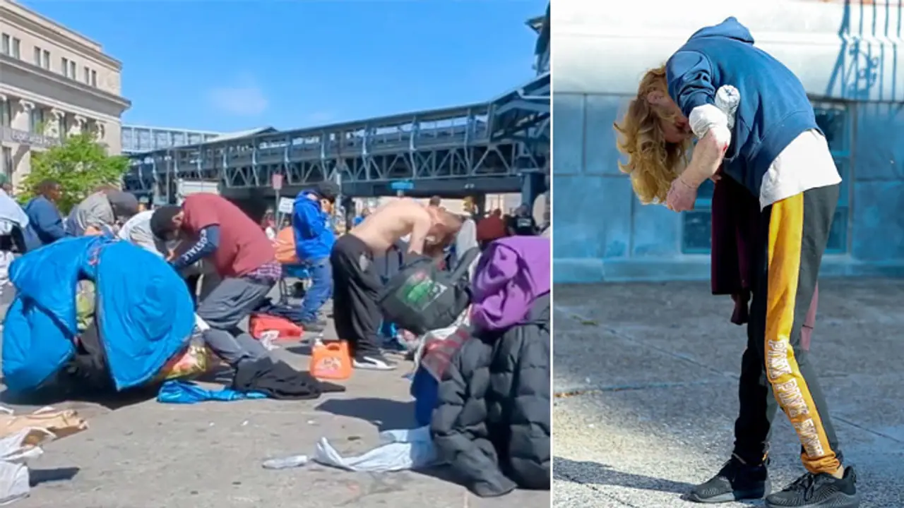 tranq epidemic tranq epidemic