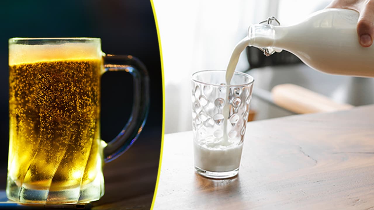 elephant milk elephant milk