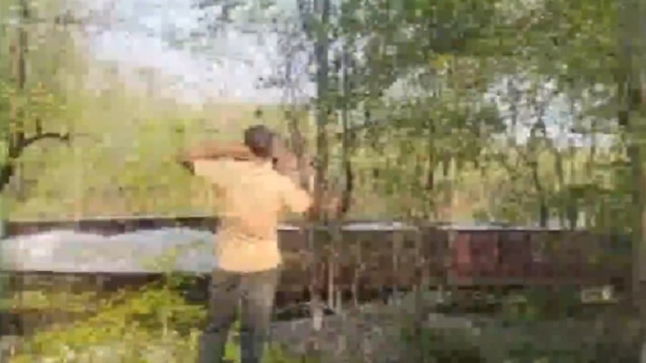 goods train goods train