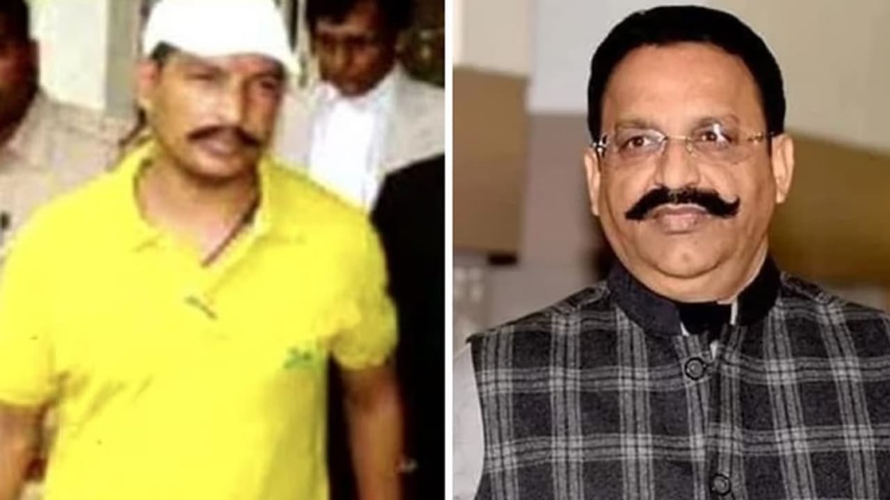 gangster sanjeev maheshwari jeeva shot dead in lucknow court gangster sanjeev maheshwari jeeva shot dead in lucknow court