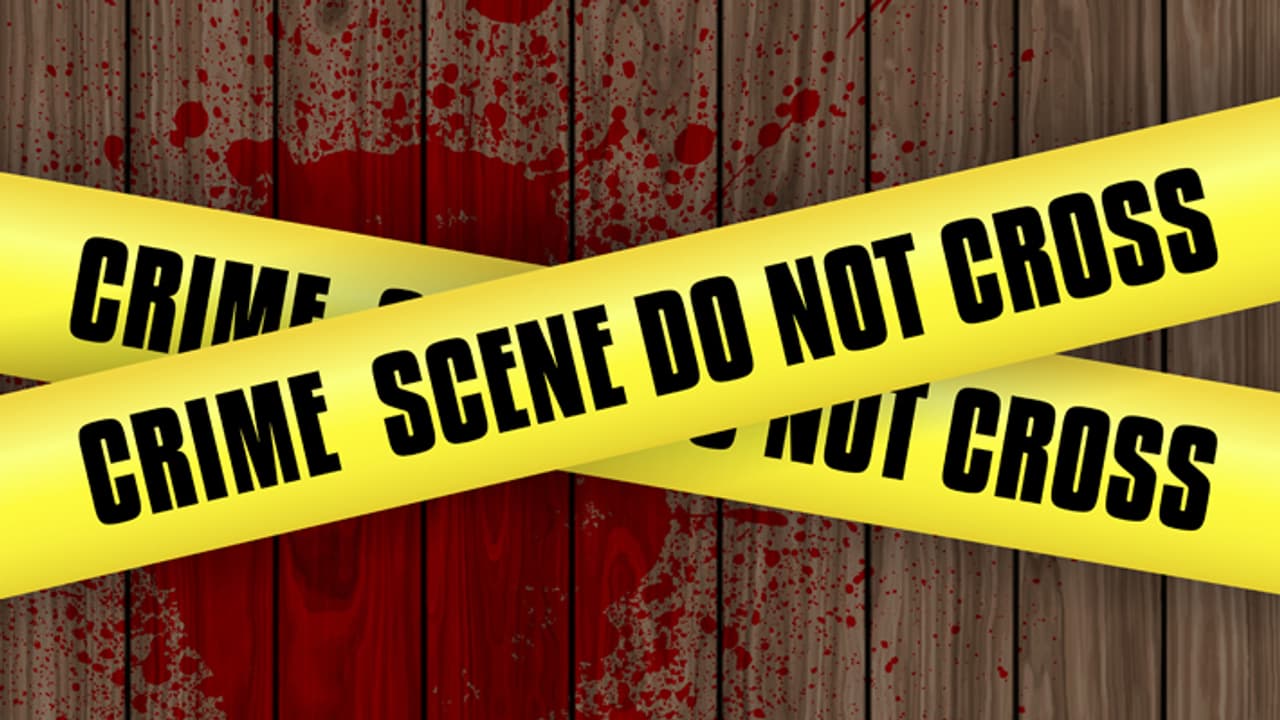 live in partner crime 1