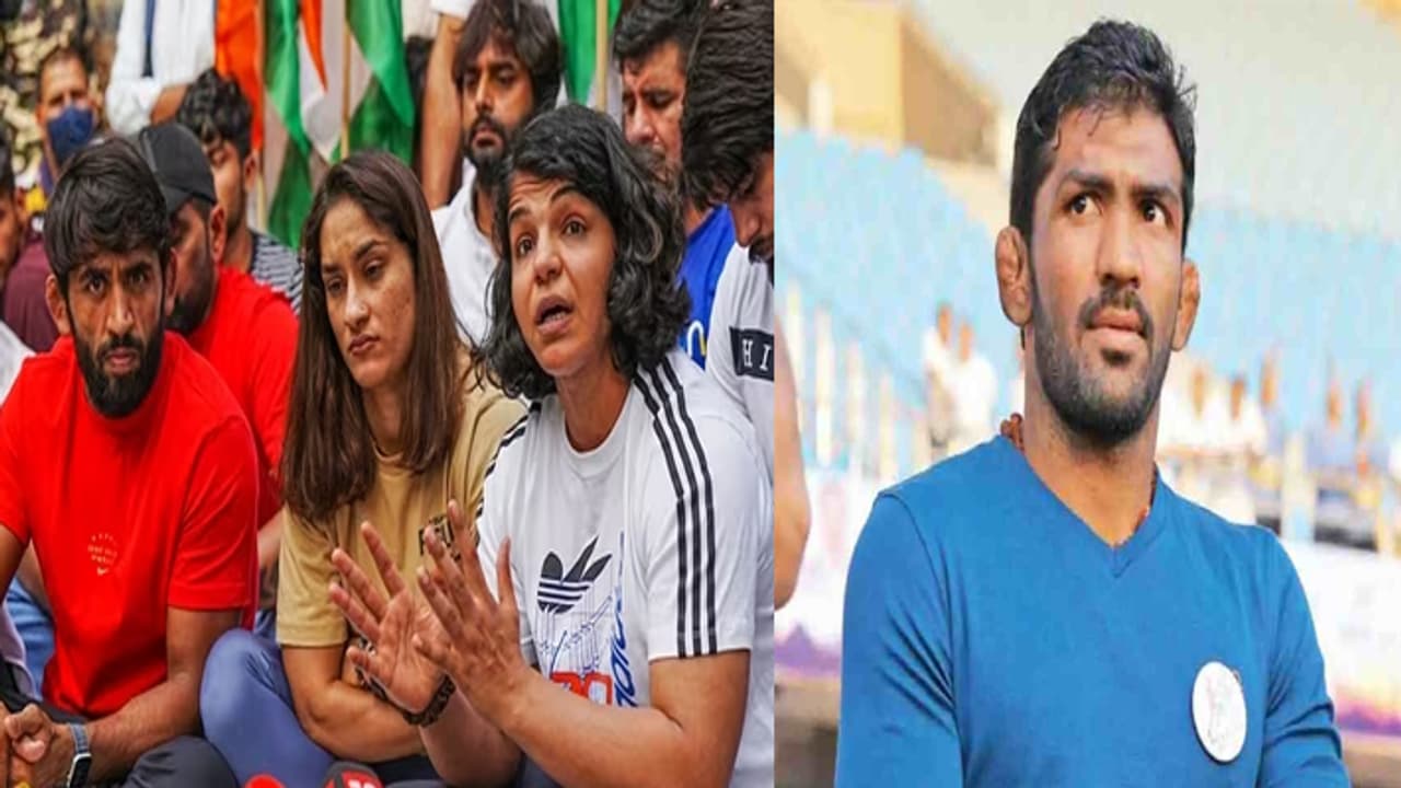 Bajrang Punia Sakshi Malik and Vinesh Phogat slams Olympic medalist Yogeshwar Dutt Bajrang Punia Sakshi Malik and Vinesh Phogat slams Olympic medalist Yogeshwar Dutt
