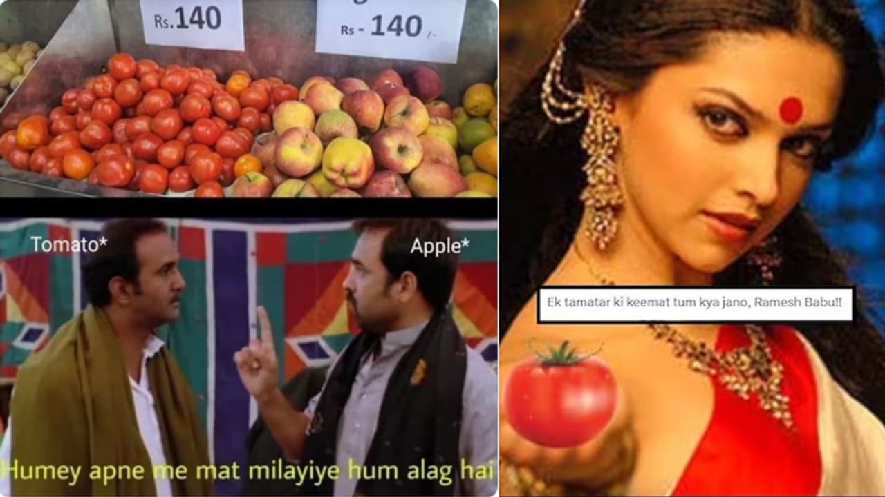 Tomato hilarious meme Tomato hilarious meme