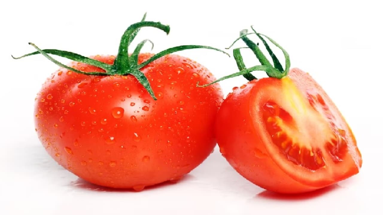 tomatoes tomatoes